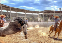 With good odds: Rancho El Potrillo “Tres Estrellas” in Durango.
