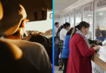 Driver’s license in Durango: requirements, prices and how to complete the process STEP BY STEP