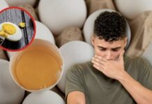 Authorities Issue Health Alert Regarding “Pirate” Eggs in Durango