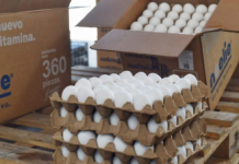 Coprised detects illicit eggs in the city of Durango.