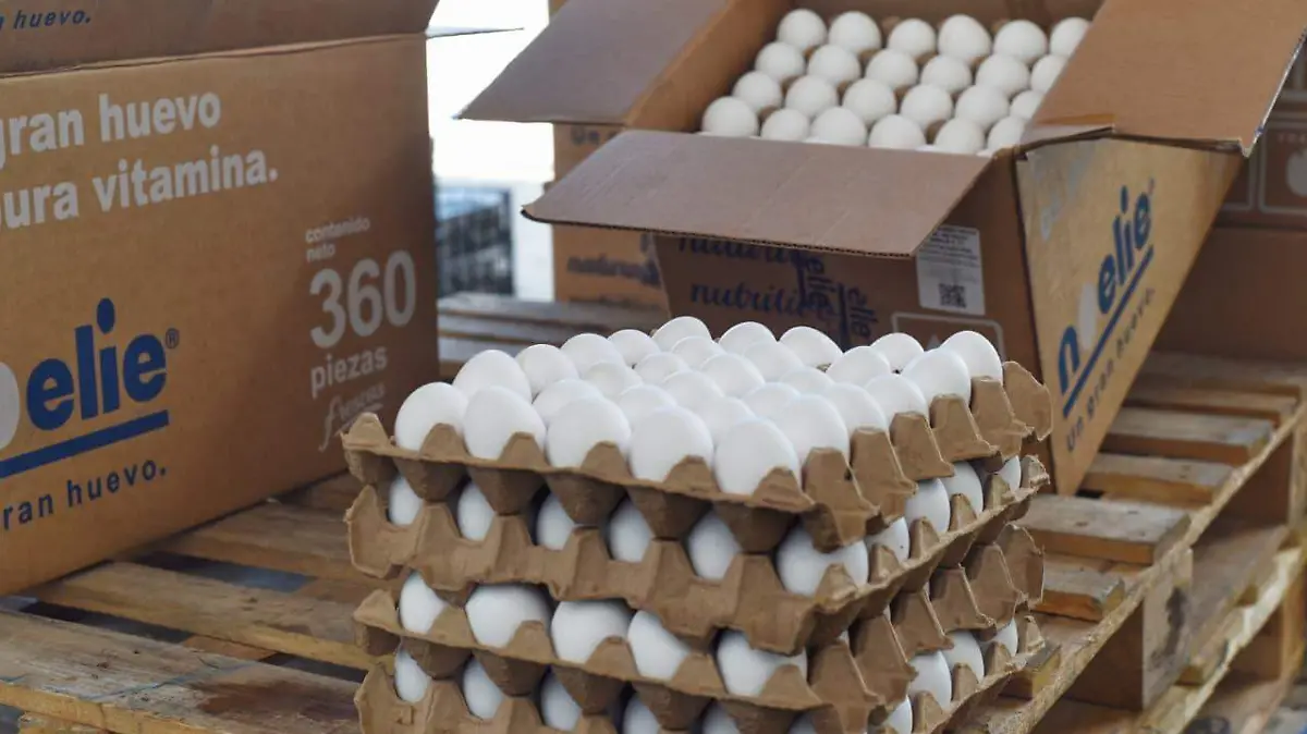 Coprised detects illicit eggs in the city of Durango.