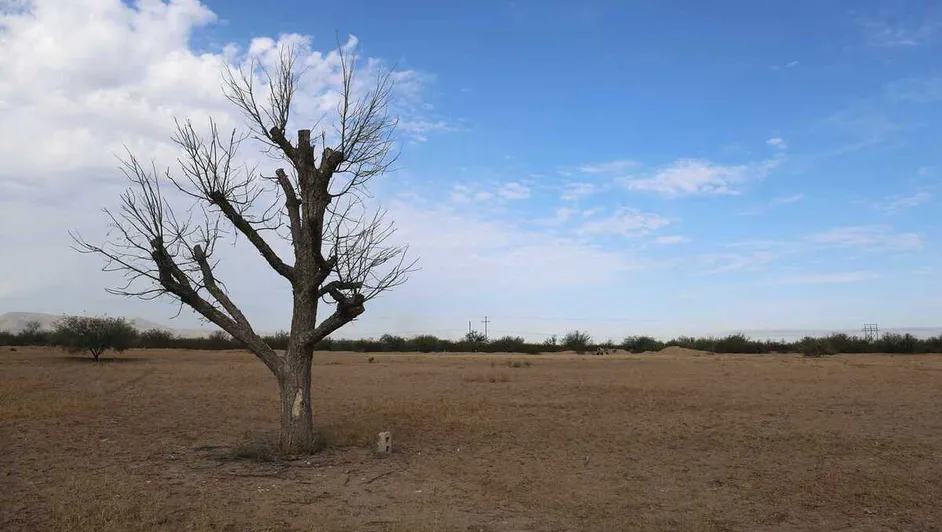 Coahuila has 23 abnormally dry municipalities, and Durango has 11.